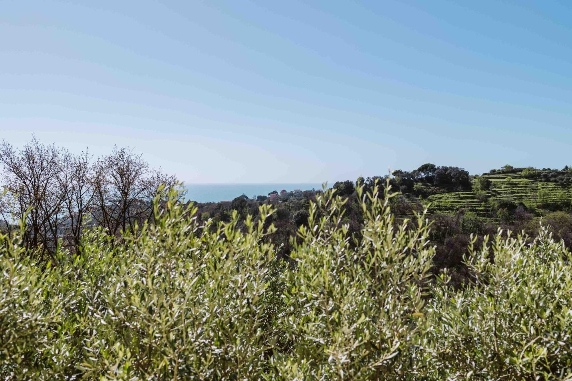 Abc Affittacamere Celle Ligure Bagian luar foto